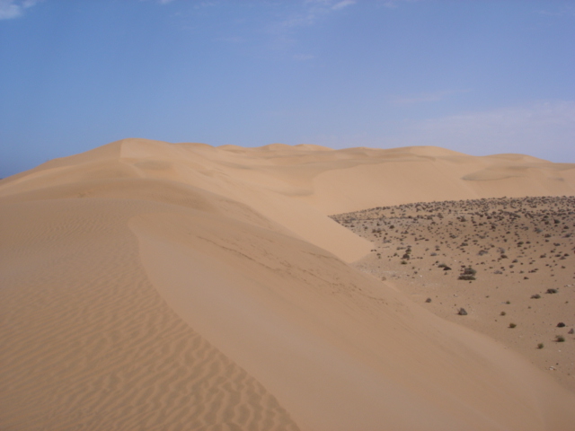 رمال الصحراء