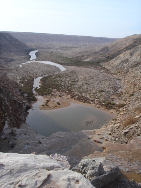 المخيامات البيئية