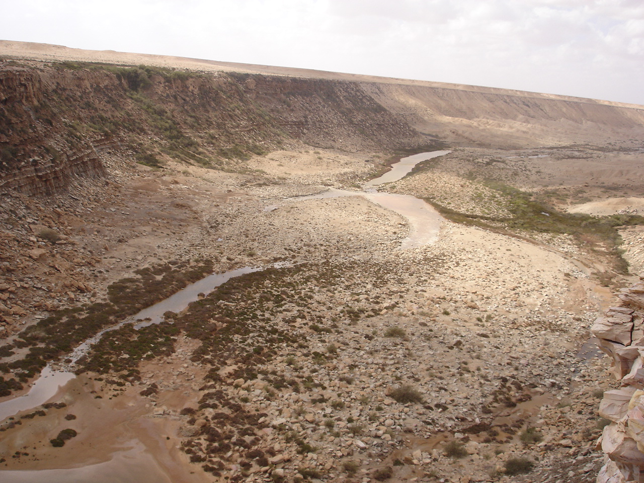 المخيامات البيئية