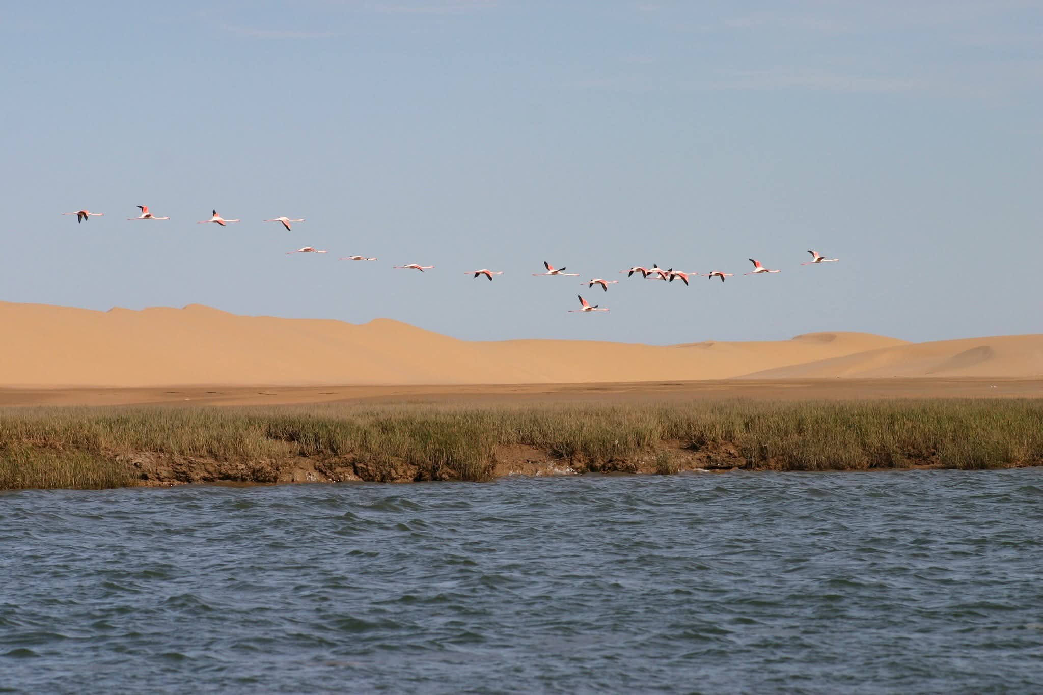 محمية طبيعية