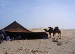 المخيم البيئي