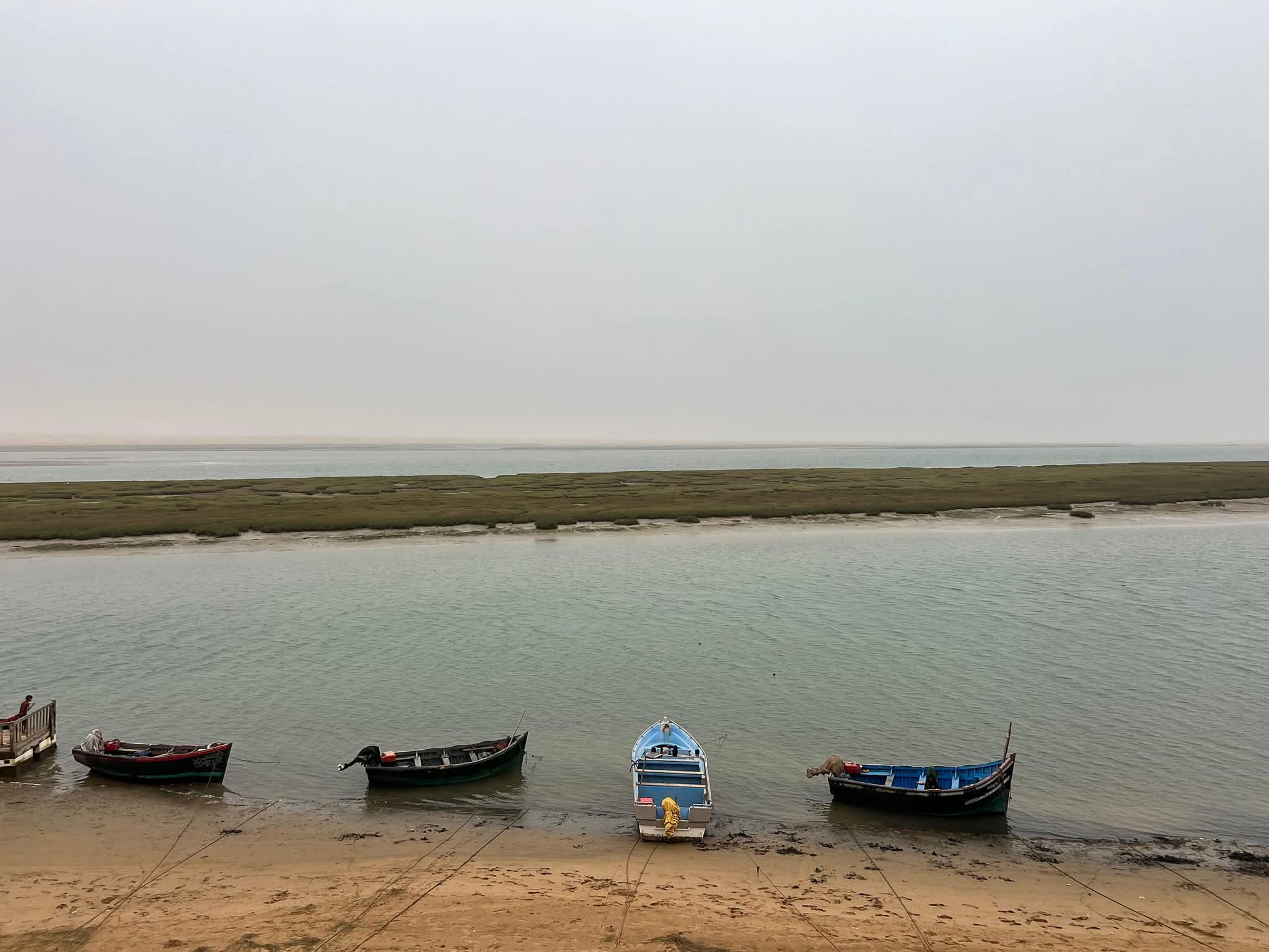 استكشاف المنتزه