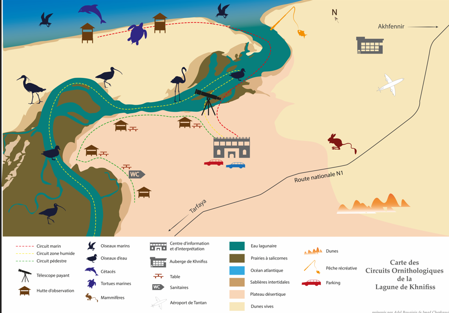 مراقبة الطيور